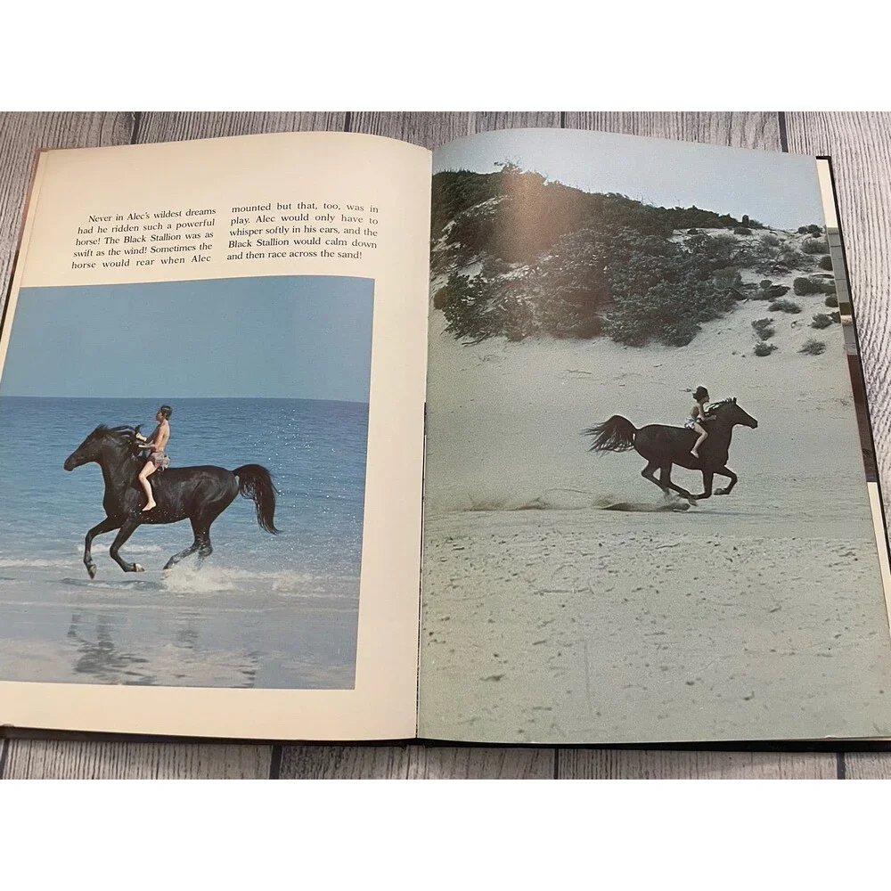 Vintage Vtg The Black Stallion Picture Book, Hardcover, By Walter Farley, 1979